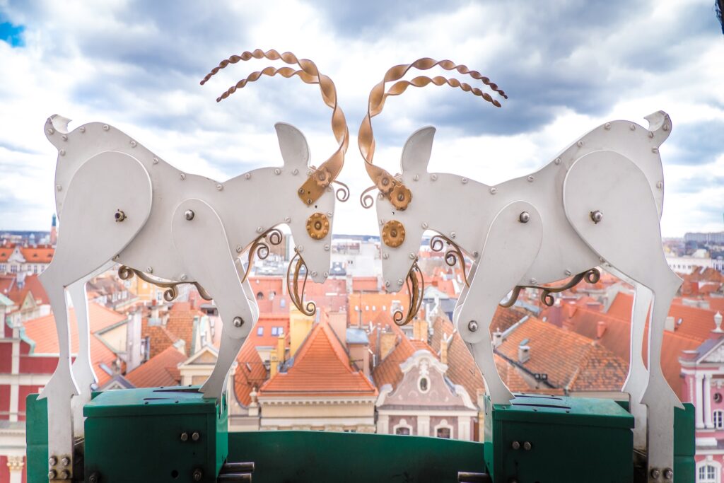 Piazza del Mercato di Poznań